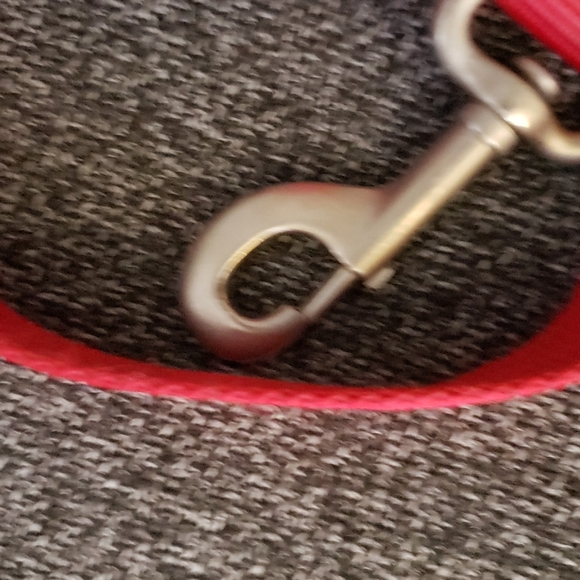 Top Paw 🐾 ❤ Harness and Leash - Picture 5 of 8